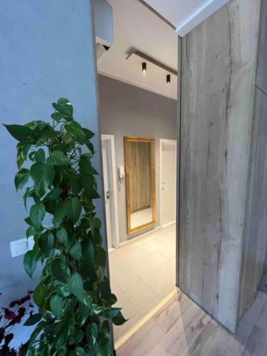 Cozy Apartment Bratislava Ngoại thất bức ảnh